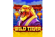 Wild Tiger