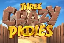 Three Crazy Piggies